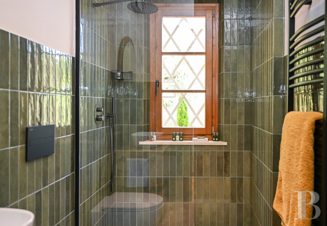 En Toscane, près de Pietrasanta, sur la côte méditerranéenne,  une maison sur les hauteurs au milieu de son oliveraie - photo  n°14